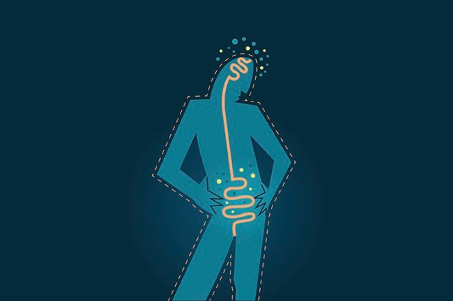 Human silhouette digestive system and intestinal flora - illustration